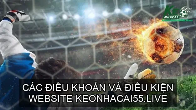 dieu khoan dieu kien 68e4dc3e26ede